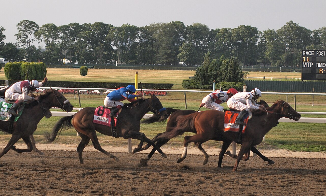 Thoroughbreds at the finish line of an American classic race.