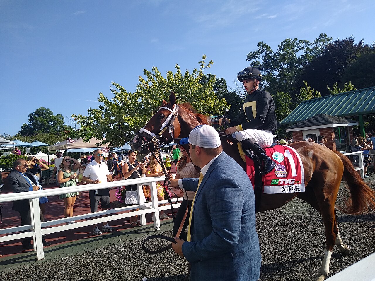 A thoroughbred at speed during a Grade 1 stakes race.
