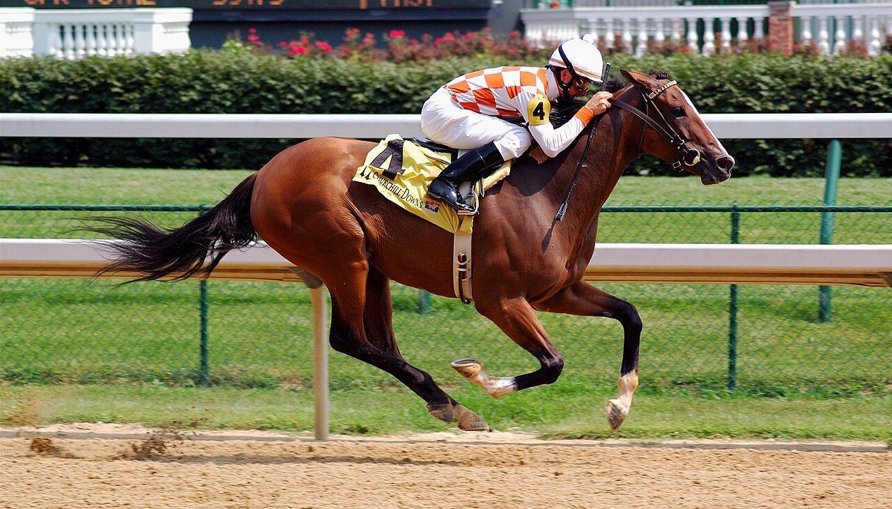 Thoroughbreds at full gallop down the home stretch at Churchill Downs.