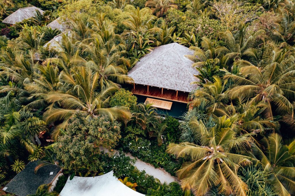 Discover a luxurious tropical villa nestled among vibrant palm trees. Perfect for seclusion and relaxation.