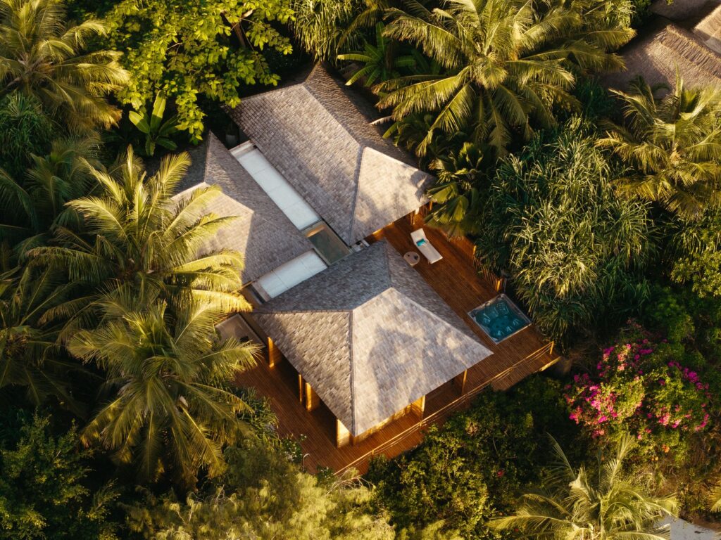 Explore a luxurious eco-resort nestled in the lush forests of Tanzania.