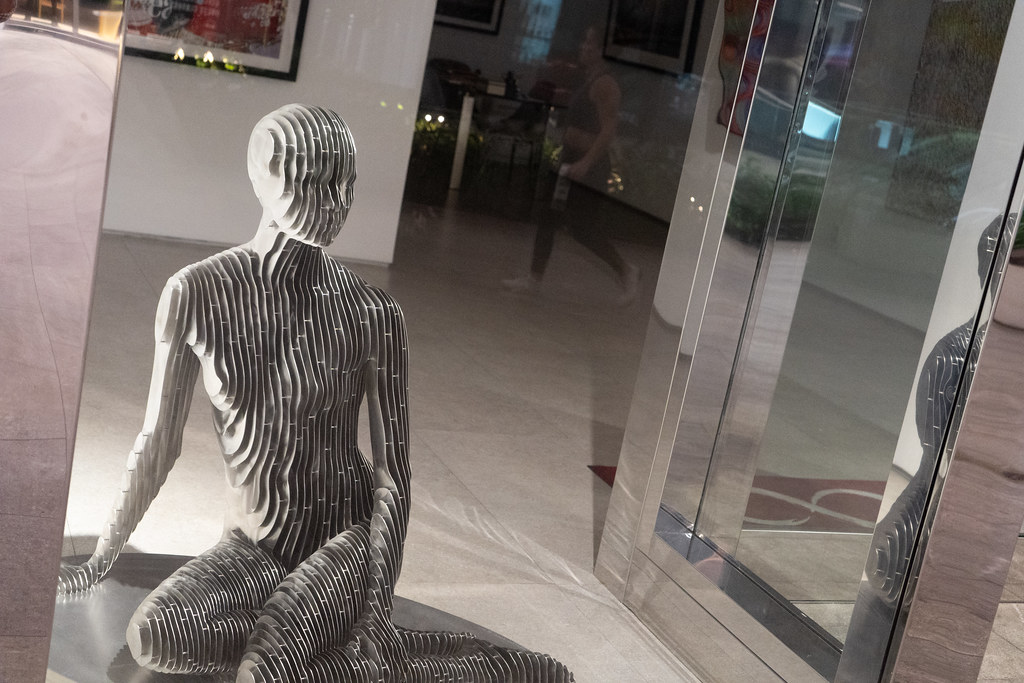 luxury collectibles display