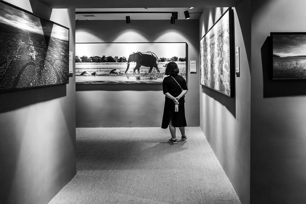 art exhibition photography